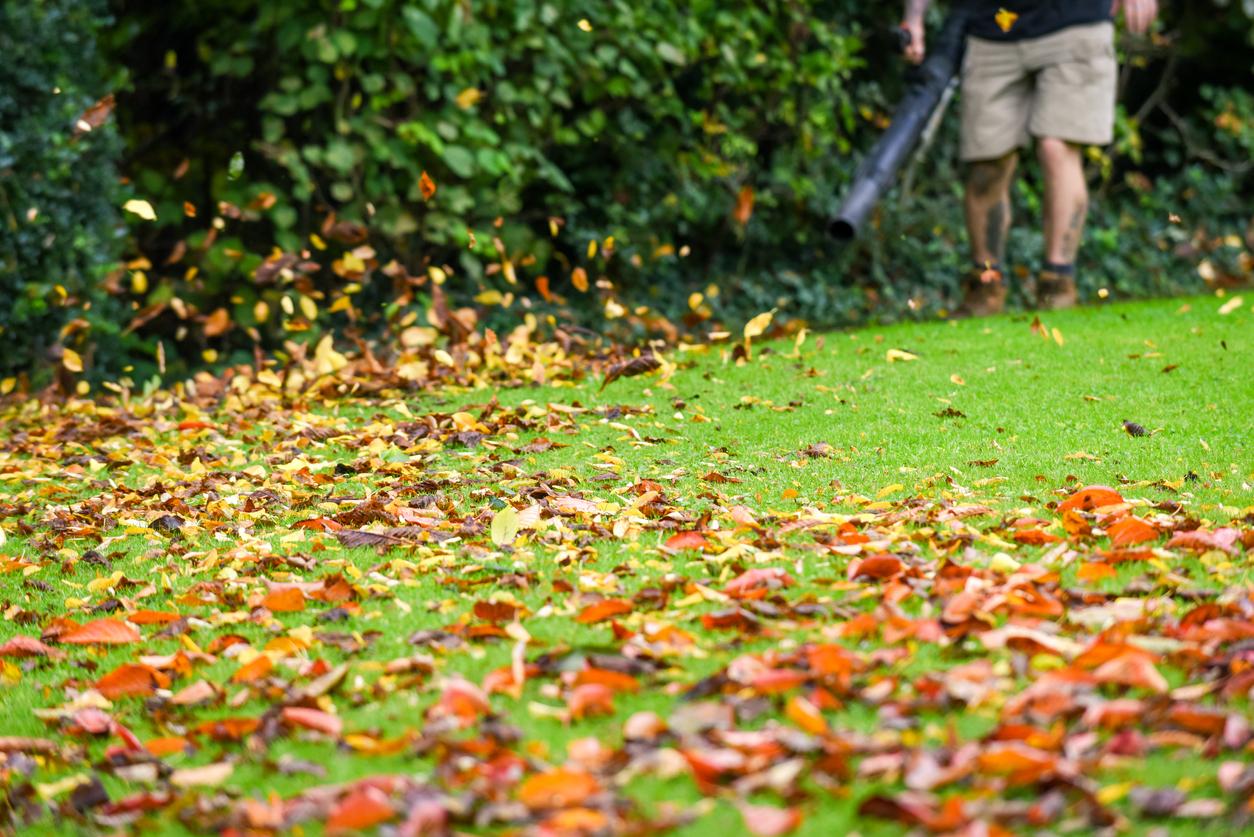 Soprador de folhas: um equipamento indispensável na limpeza dos jardins Soprador de folhas: um equipamento indispensável na limpeza dos jardins