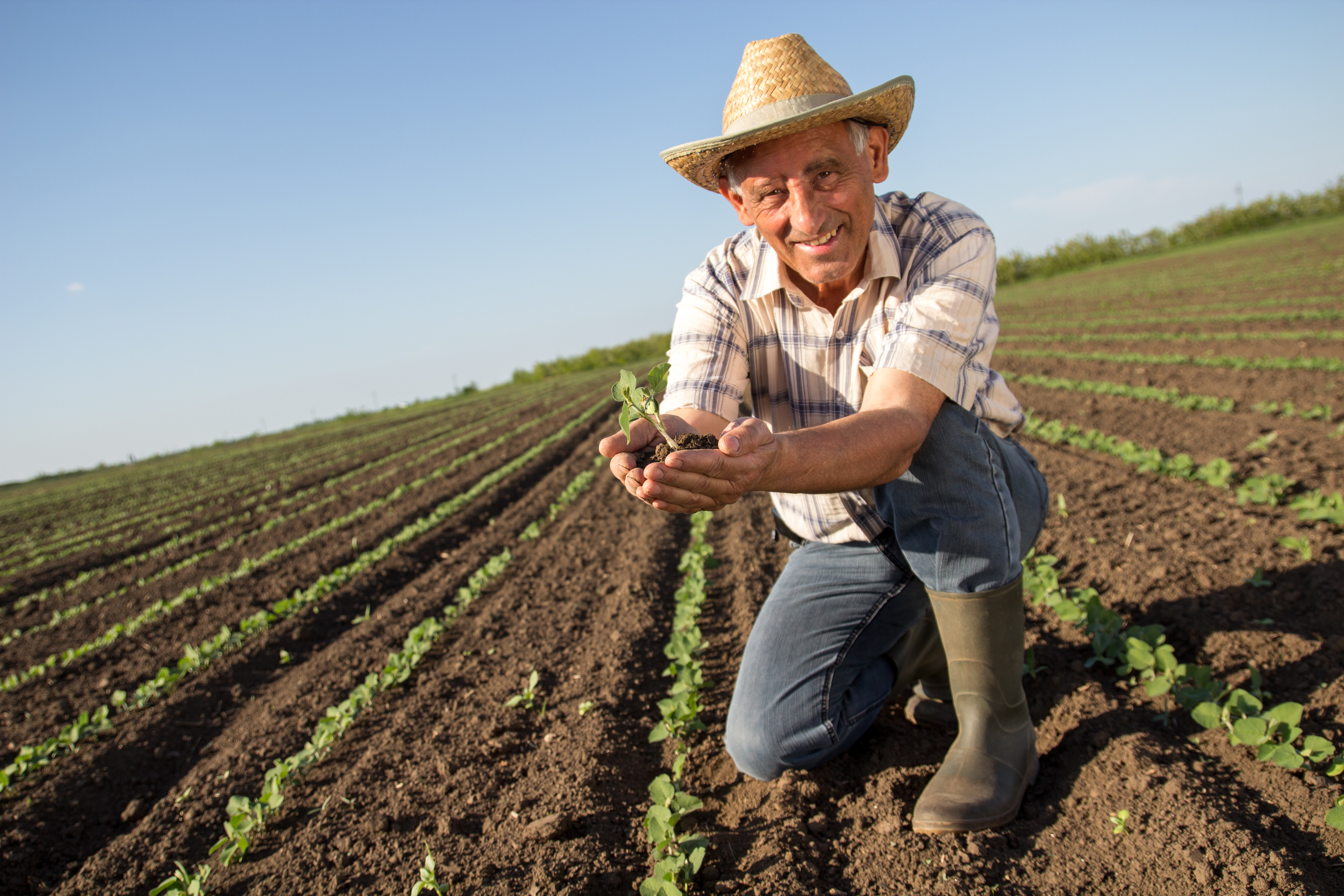 Conheça 5 dicas fundamentais para aumentar a produção rural Conheça 5 dicas fundamentais para aumentar a produção rural