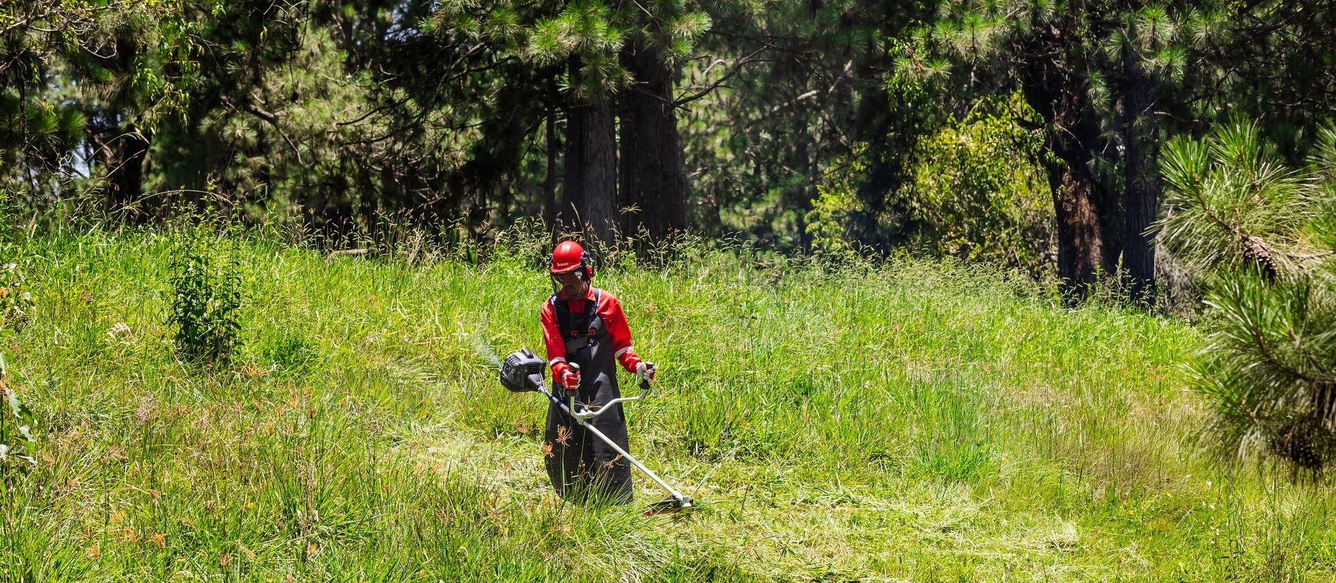 Qual a melhor roçadeira? Saiba como escolher e o que avaliar antes de comprar