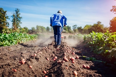 Cultivo em Rede: conheça essa comunidade focada no pequeno produtor Cultivo em Rede: conheça essa comunidade focada no pequeno produtor