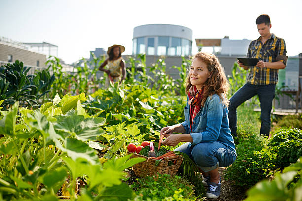 Como a economia circular na agricultura pode trazer lucros para o pequeno produtor? Como a economia circular na agricultura pode trazer lucros para o pequeno produtor?