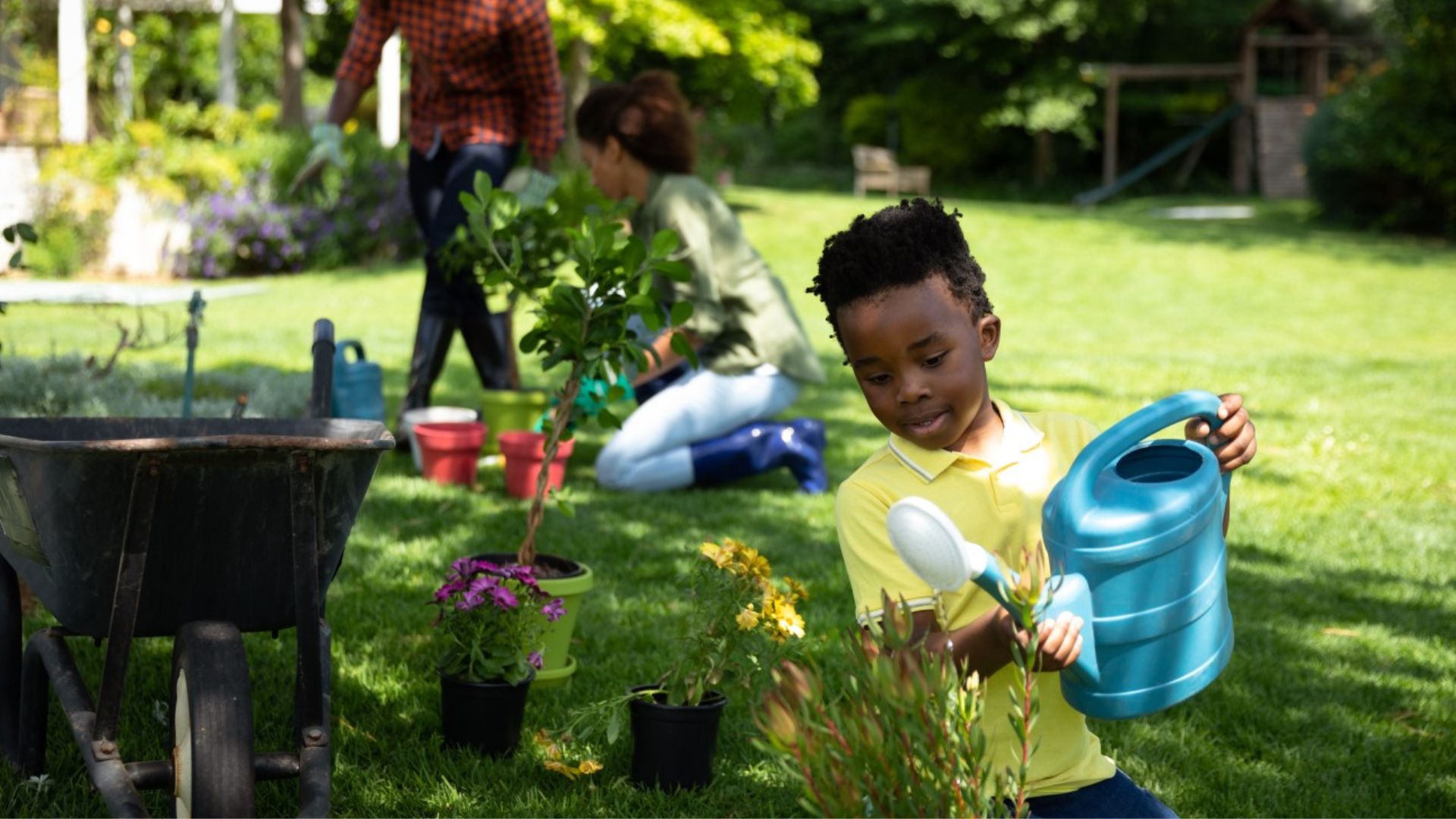 Paisagismo e jardinagem: qual a diferença e quando usar cada um?