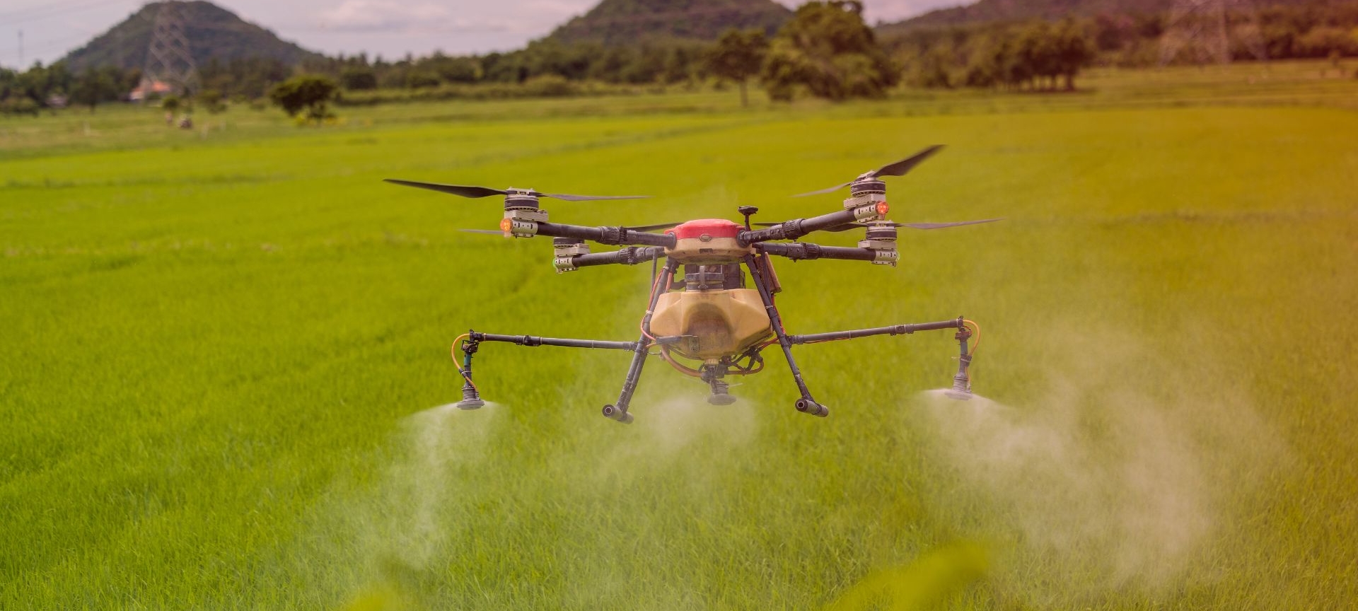 Conheça os desafios do uso de drones na agricultura