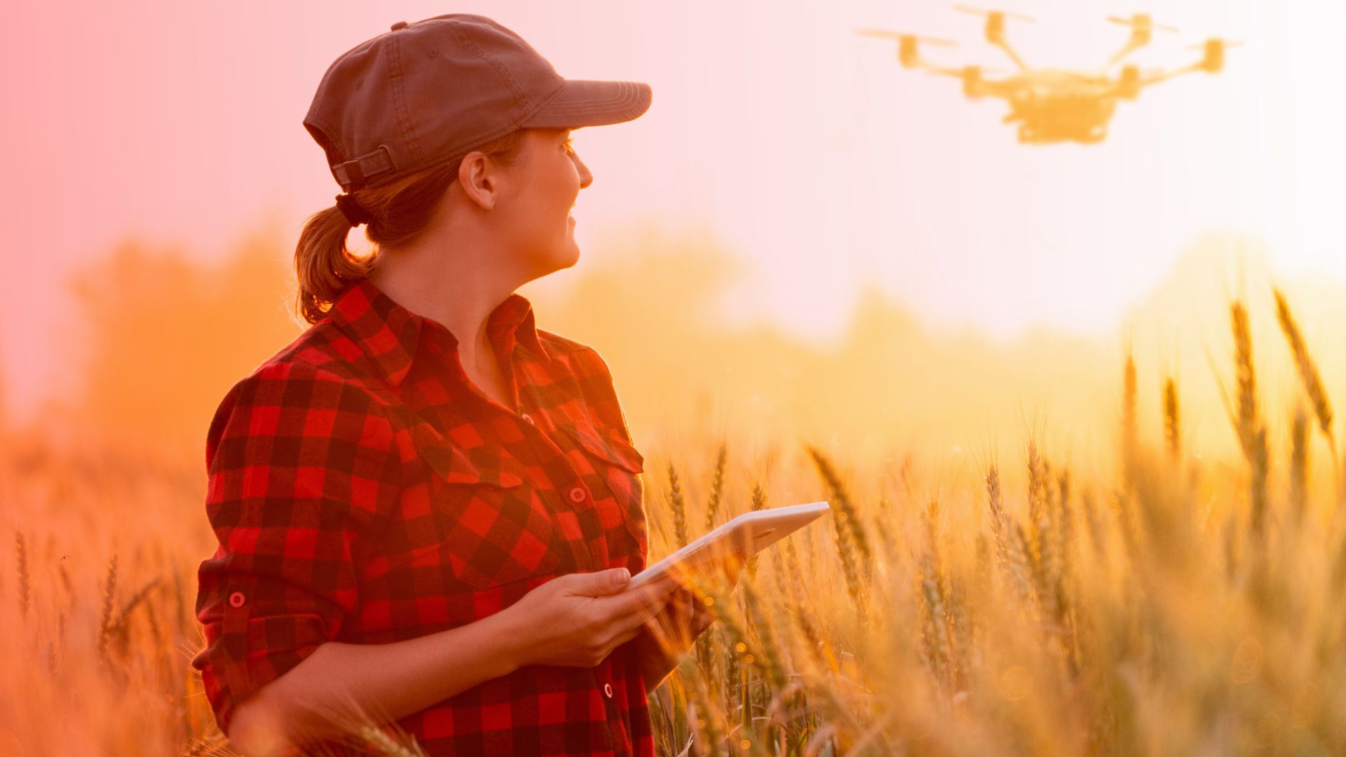 Uso de drones na agricultura