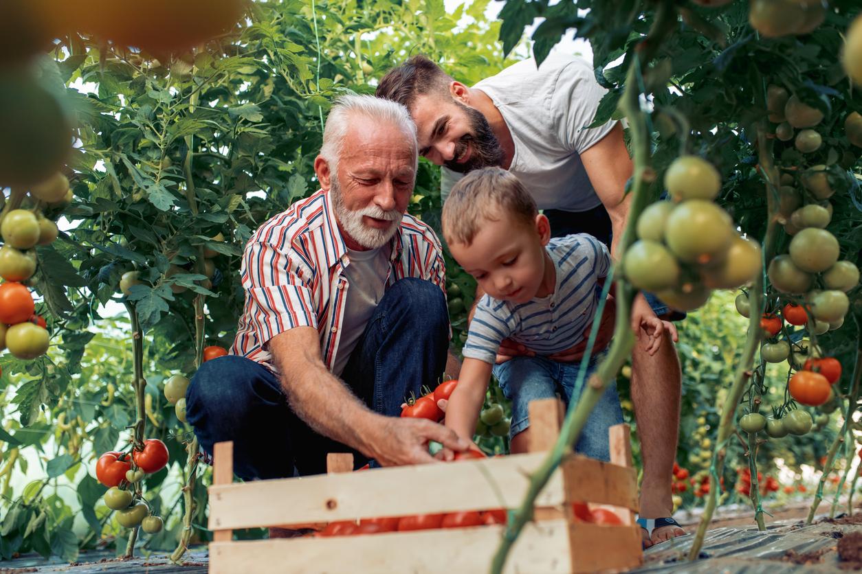 Agricultura Familiar, essencial para a economia e segurança alimentar.