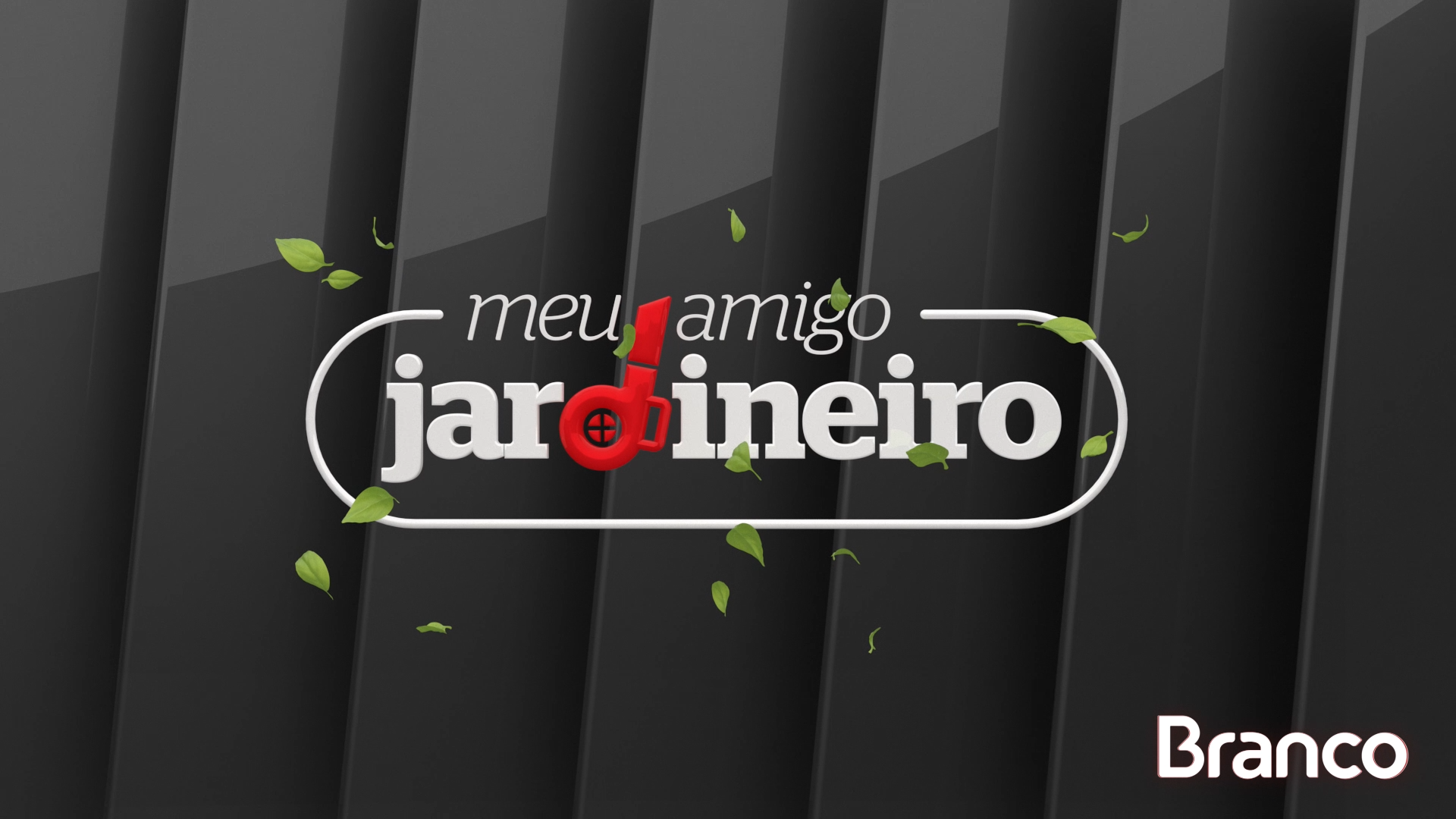 Meu Amigo Jardineiro: dicas de jardinagem com especialistas