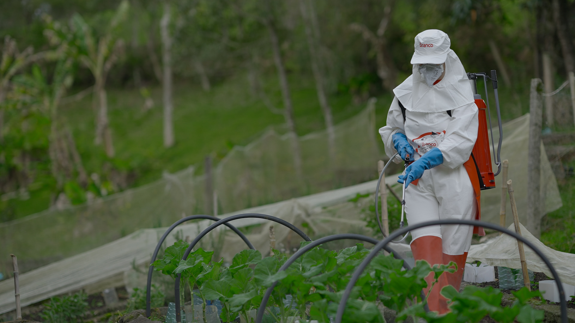 As vantagens de utilizar bioinsumos na agricultura