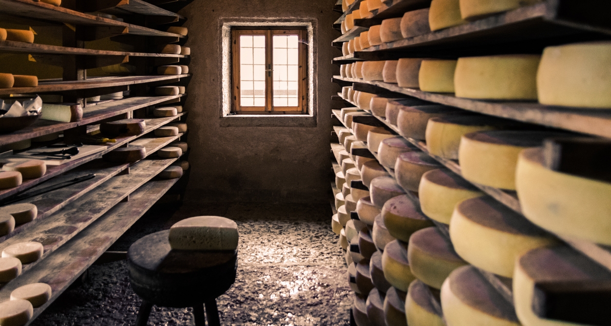 Oportunidades em pequenas propriedades: produção de queijos artesanais