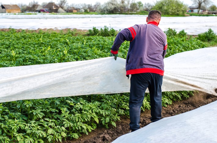 Cobertura protegendo o solo de uma área agrícola