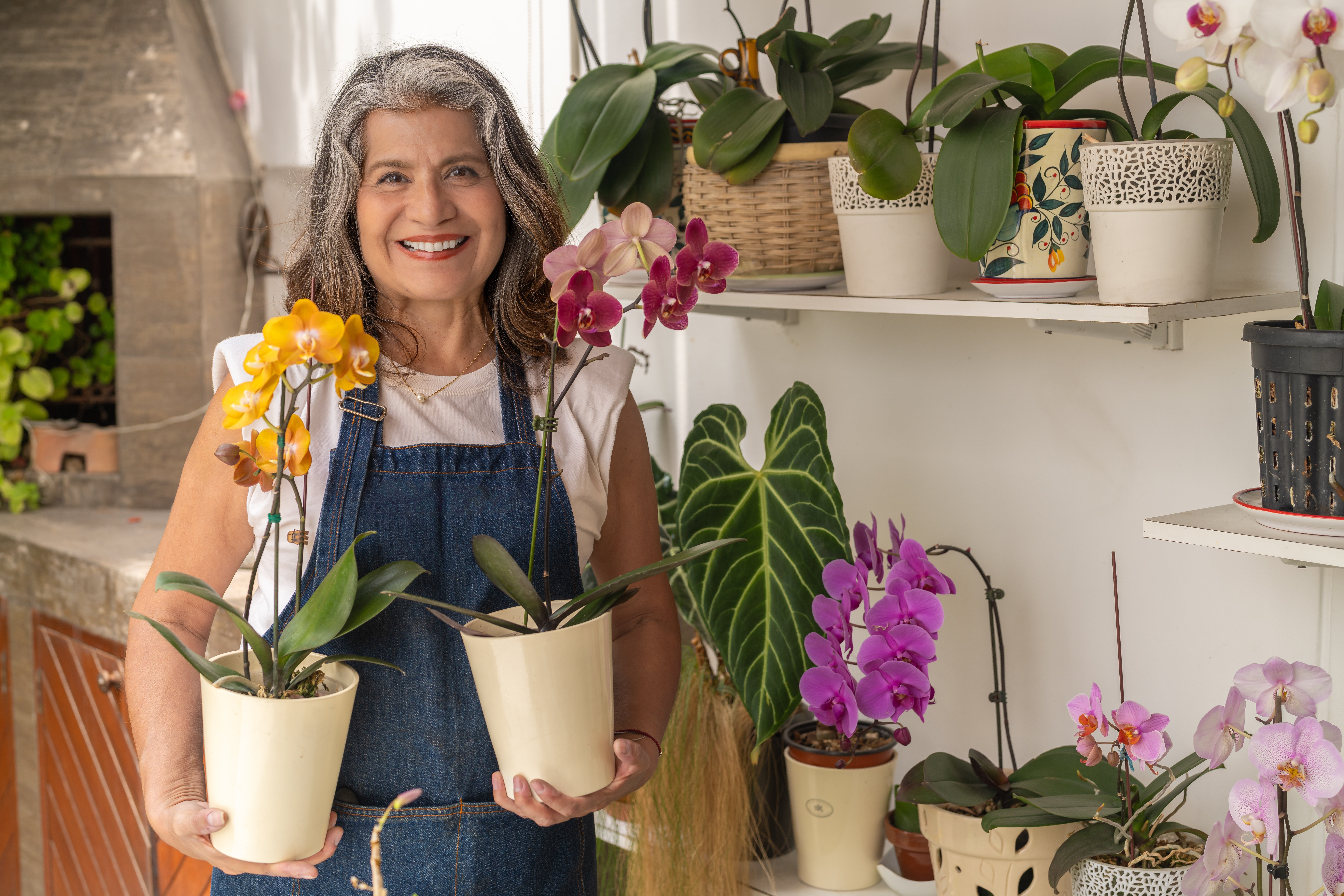 Como ter plantas em vaso: guia prático para cultivar em qualquer espaço