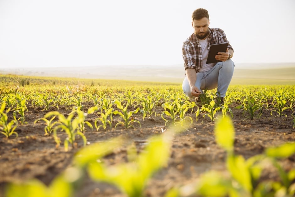 Produtor acompanhando dados da plantação durante a gestão do agronegócio 
