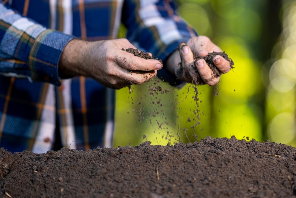 Produtor segurando uma amostra de solo em área agrícola
