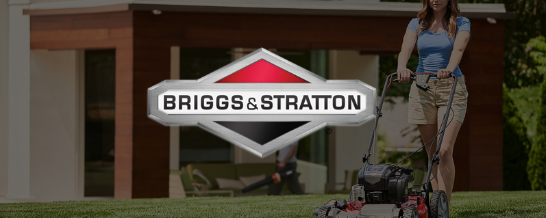 Basco_2Tile_BriggsStratton