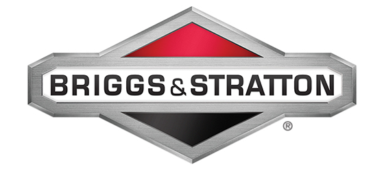 logoBriggs