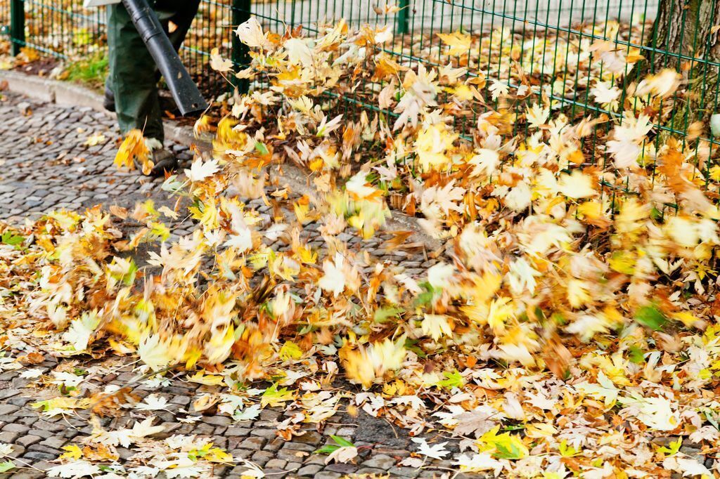 Como usar o soprador de folhas além da limpeza do jardim?