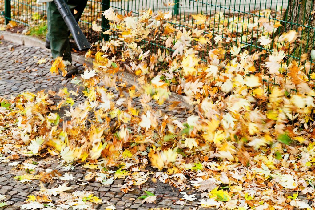 Como usar o soprador de folhas além da limpeza do jardim?