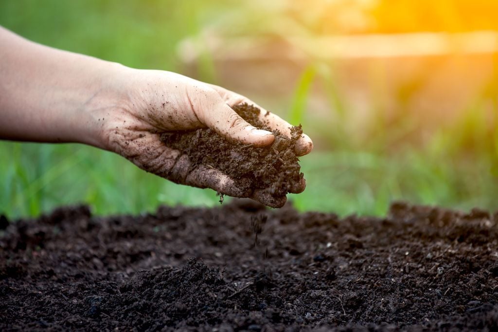 Conheça 5 dicas fundamentais para aumentar a produção rural.