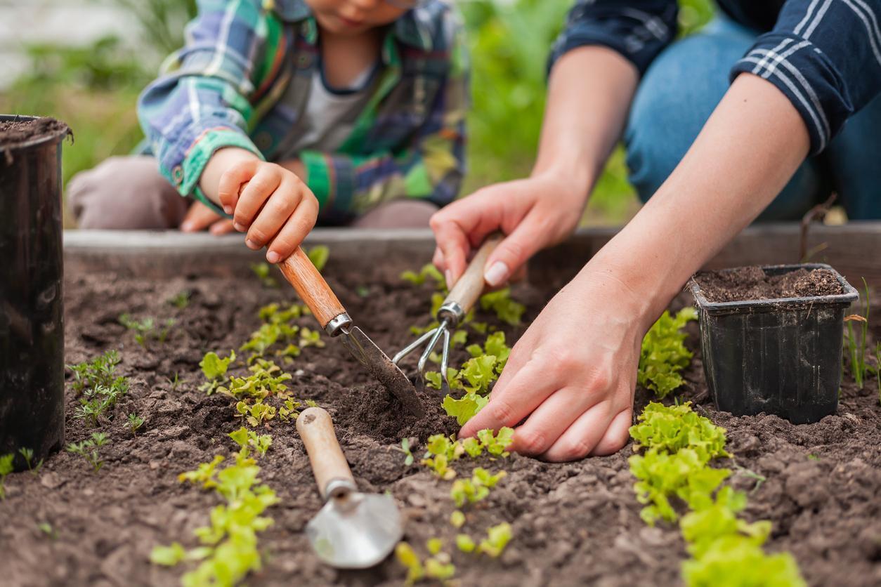 Manutenção de jardim: 6 equipamentos que fazem toda a diferença no dia a dia