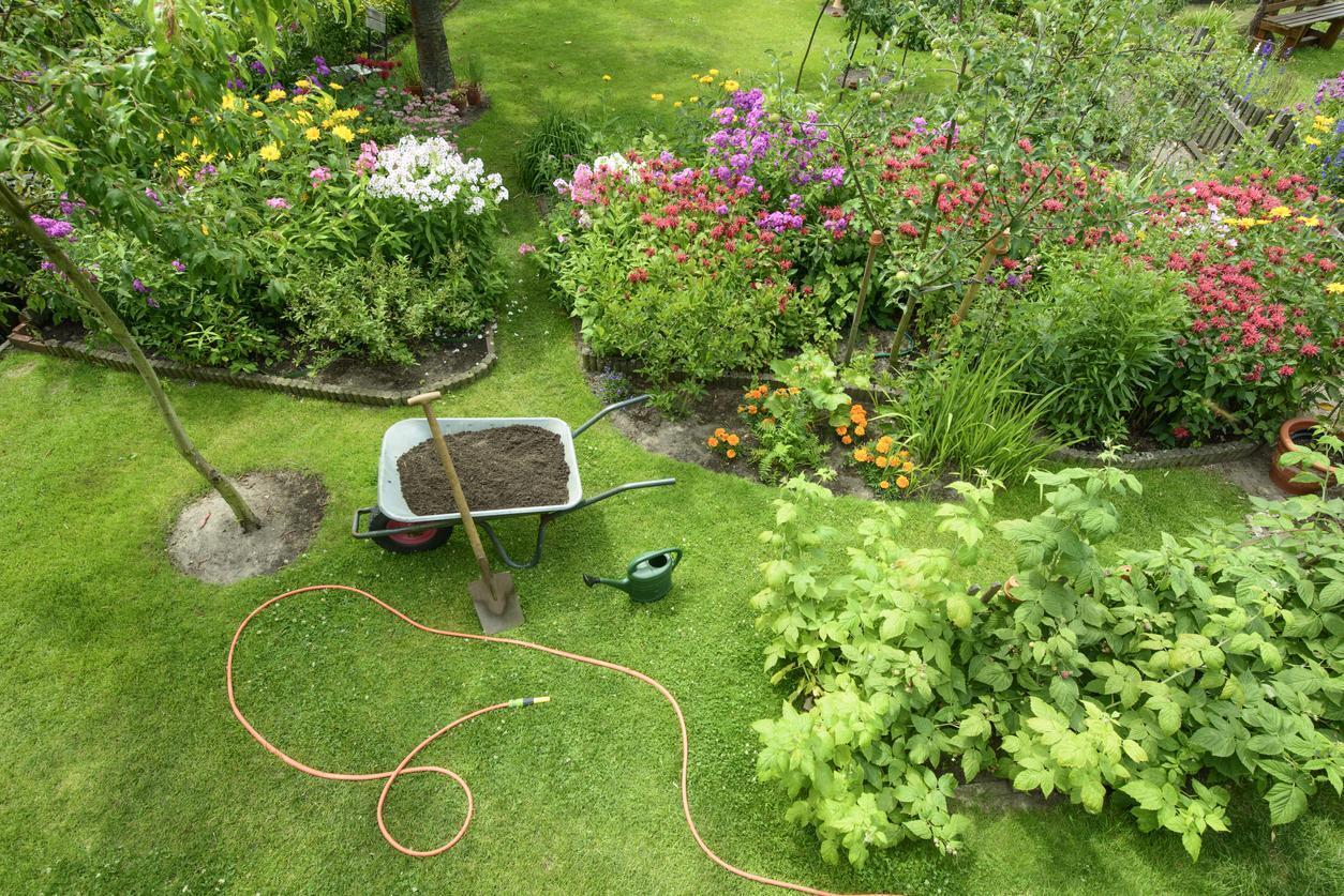 Guia completo de jardinagem da Branco