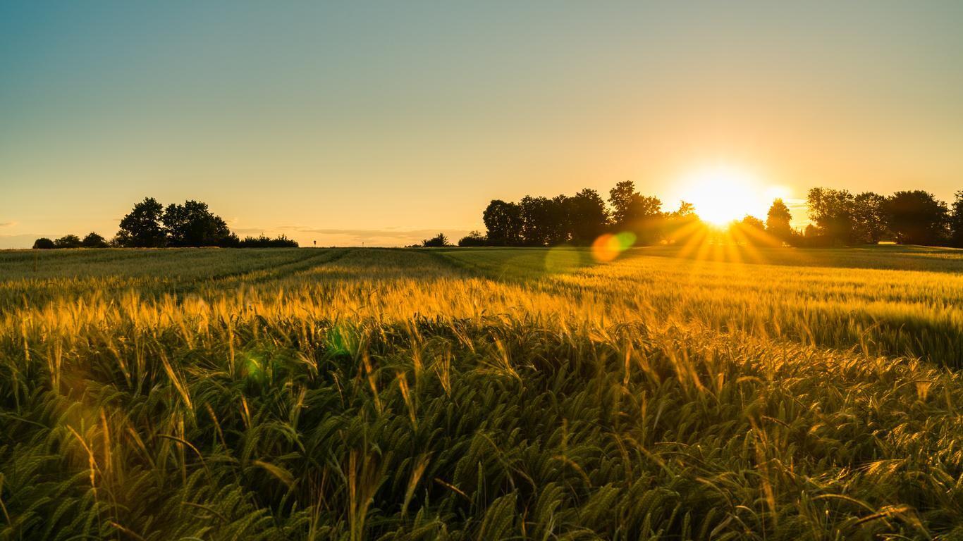 Como a economia circular na agricultura pode trazer lucros para o pequeno produtor?