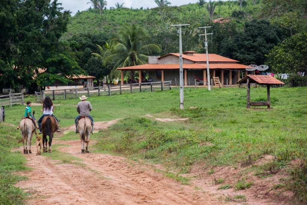 Curso de manutenção de geradores: confira os treinamentos gratuitos na plataforma EAD da Branco Motores