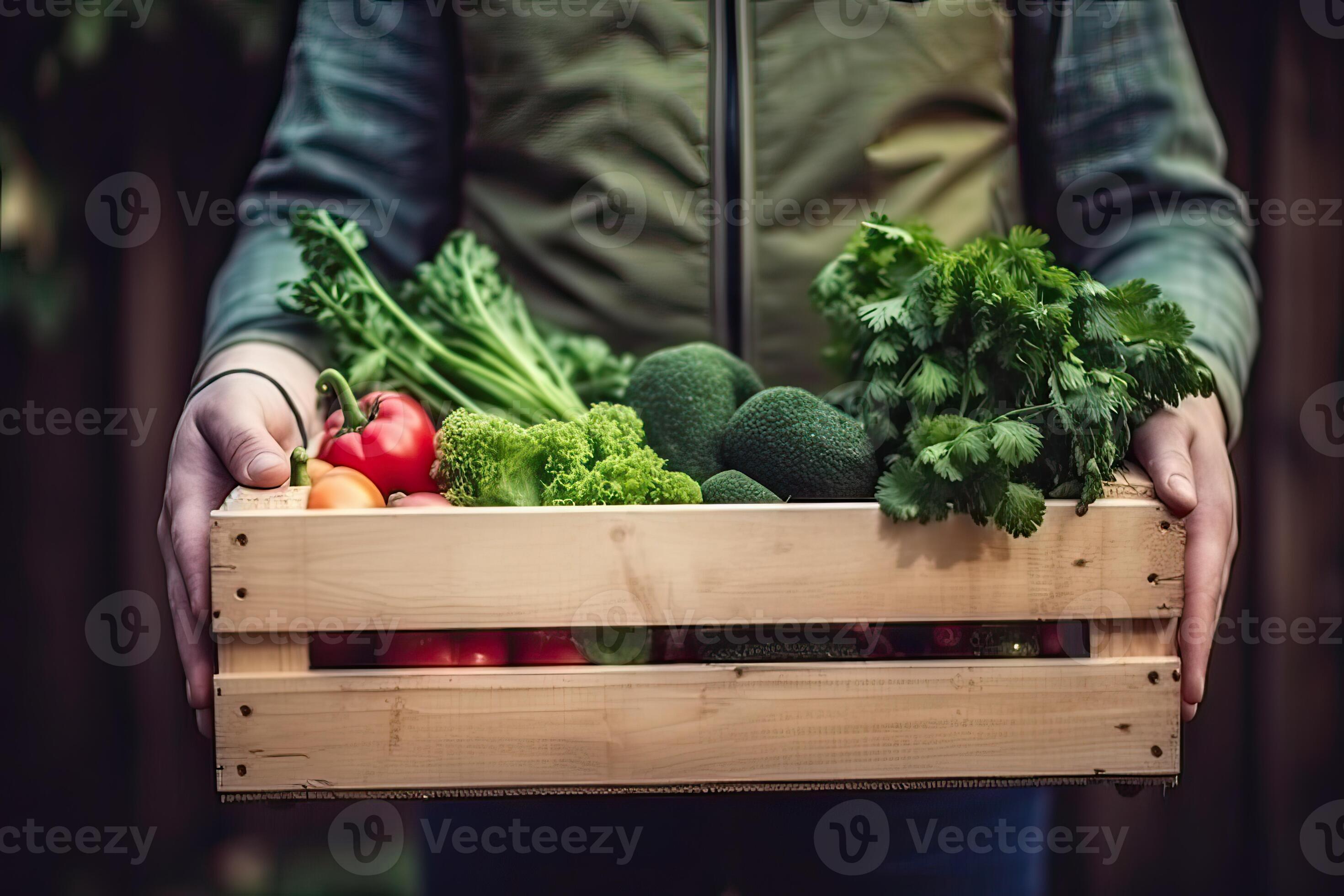 Máquinas agrícolas: dicas para evitar erros 