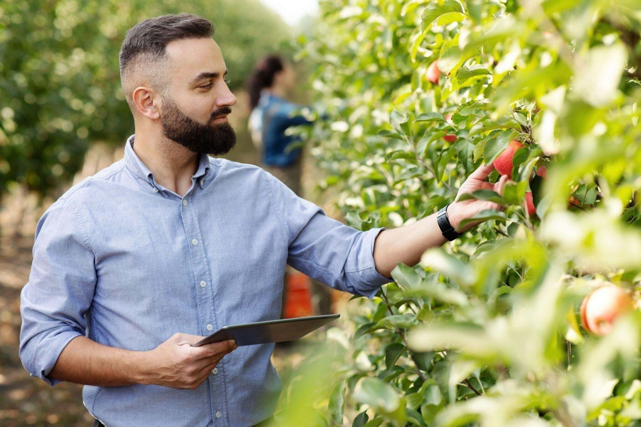 Gestão agrícola: como pode contribuir para a sustentabilidade do agronegócio
