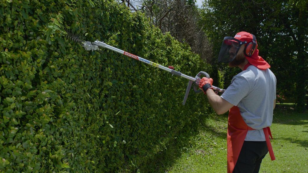 Os maiores desafios na jardinagem e como superá-los