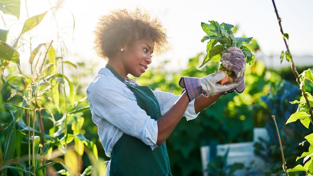 Saiba o que são produtos orgânicos: mitos e verdades