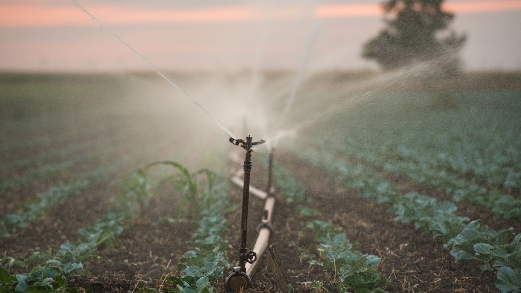 Conheça os sistemas de irrigação