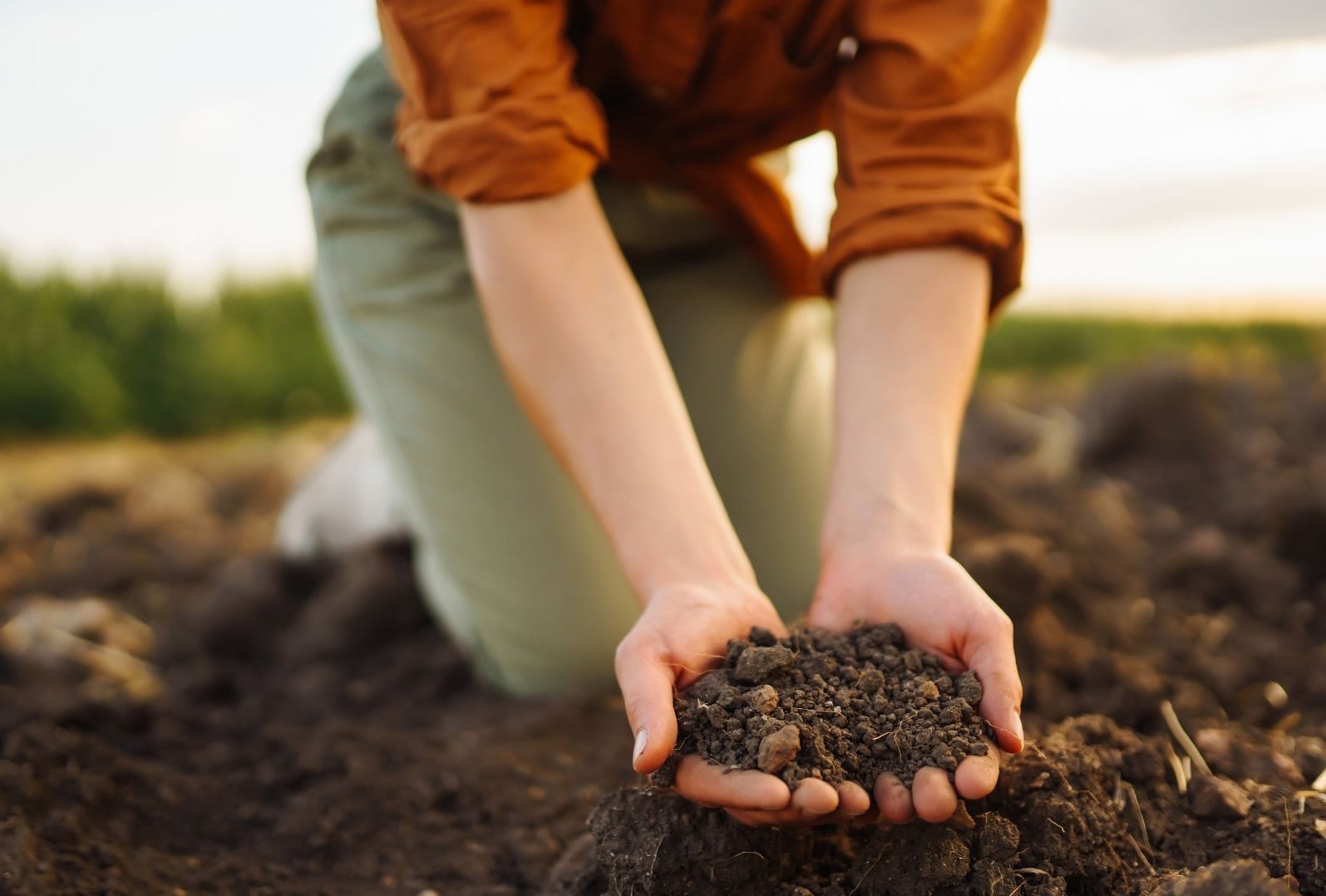 Nutrindo o solo: um guia completo sobre adubo orgânico para jardinagem e hortas