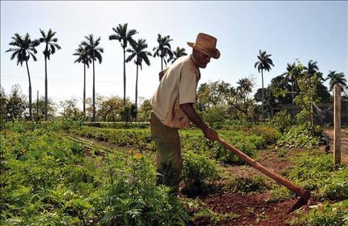 Saiba o que plantar em abril e tenha uma colheita farta e saudável