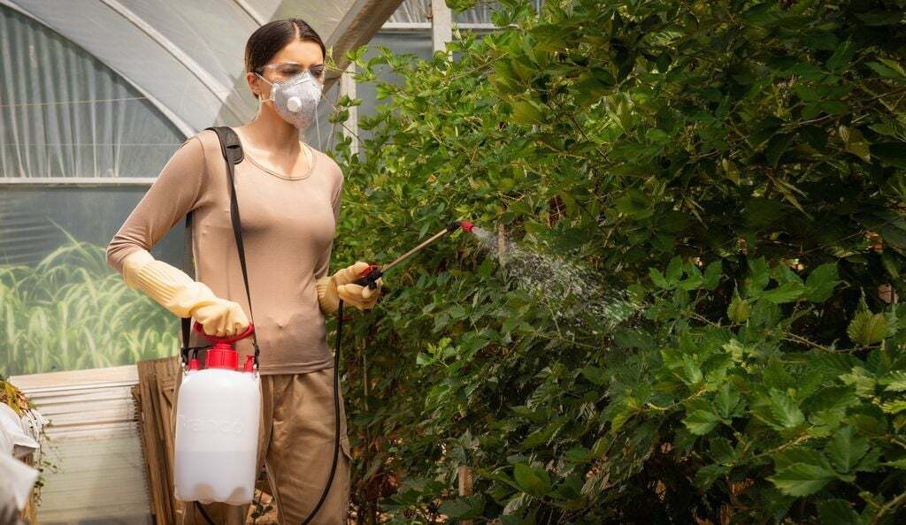 6 equipamentos de jardinagem essenciais para os cuidados com a floresta e jardim