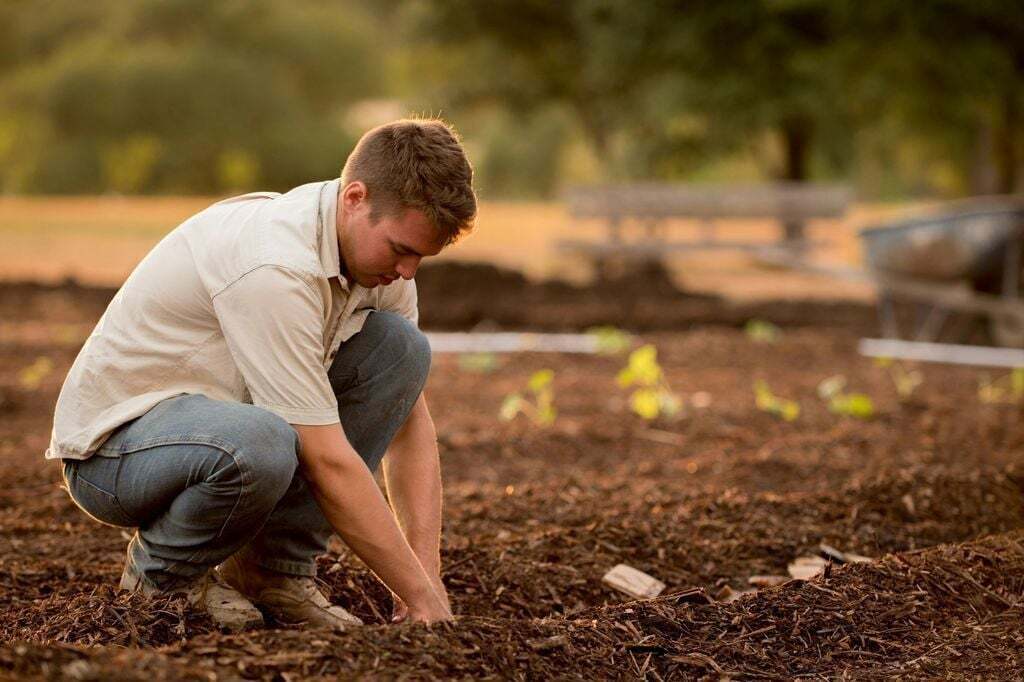 Quais são os principais modelos e práticas agrícolas?